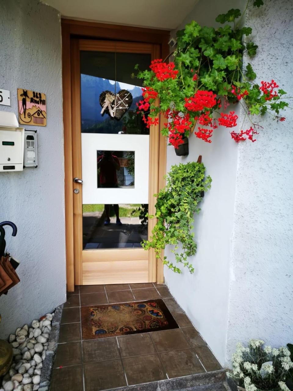Bed and Breakfast Minavill La Casa Sulle Dolomiti Fiera Di Primiero Exteriér fotografie