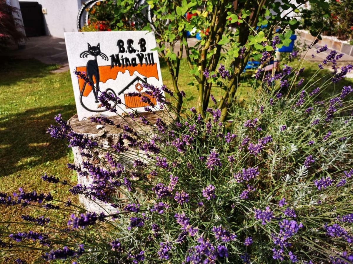 Bed and Breakfast Minavill La Casa Sulle Dolomiti Fiera Di Primiero Exteriér fotografie