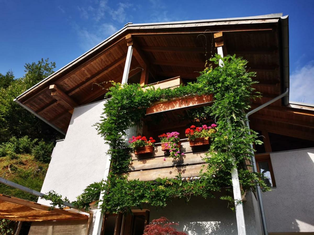 Bed and Breakfast Minavill La Casa Sulle Dolomiti Fiera Di Primiero Exteriér fotografie